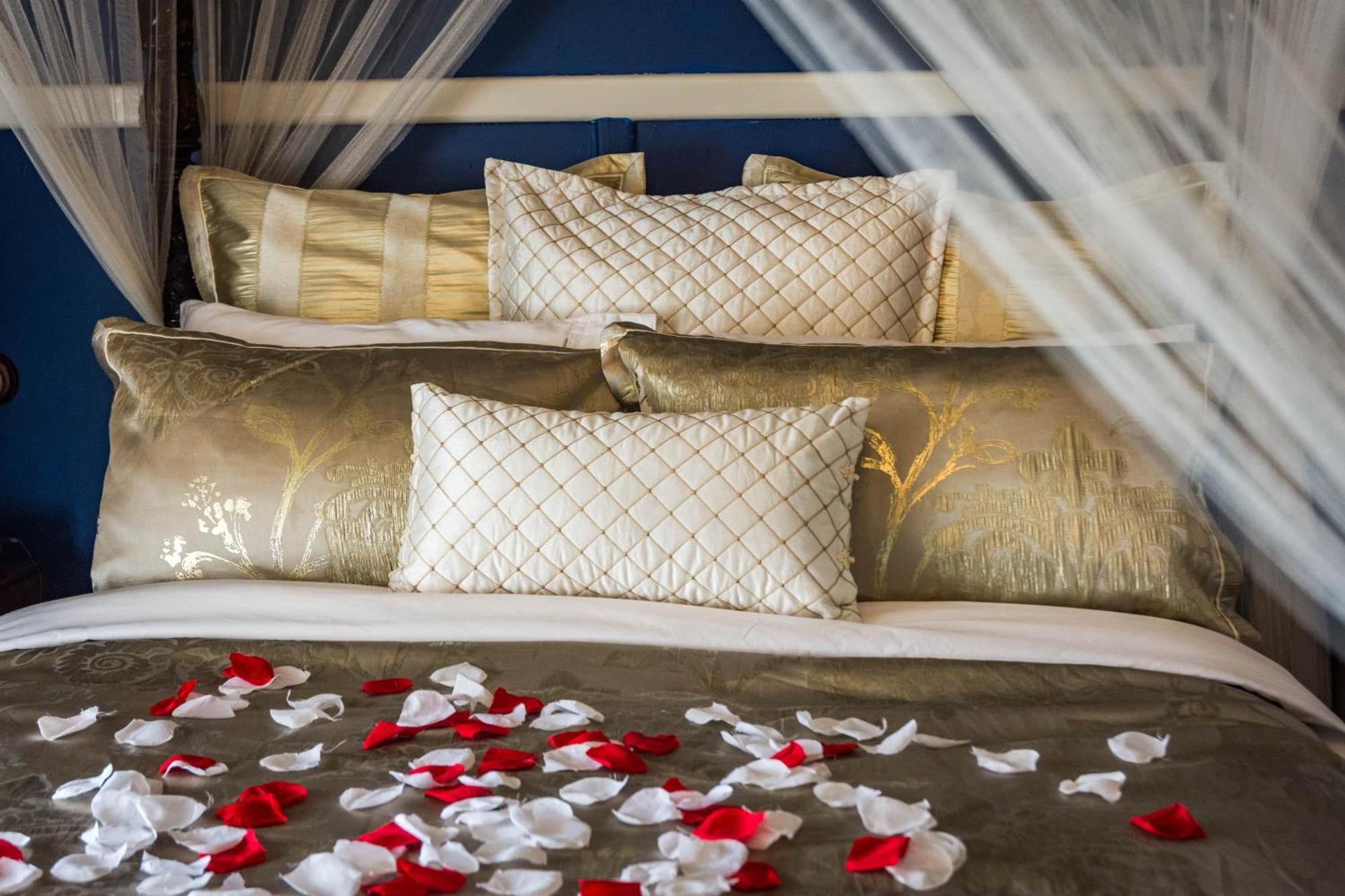 Cobden Heytesbury House Bed & Breakfast エクステリア 写真