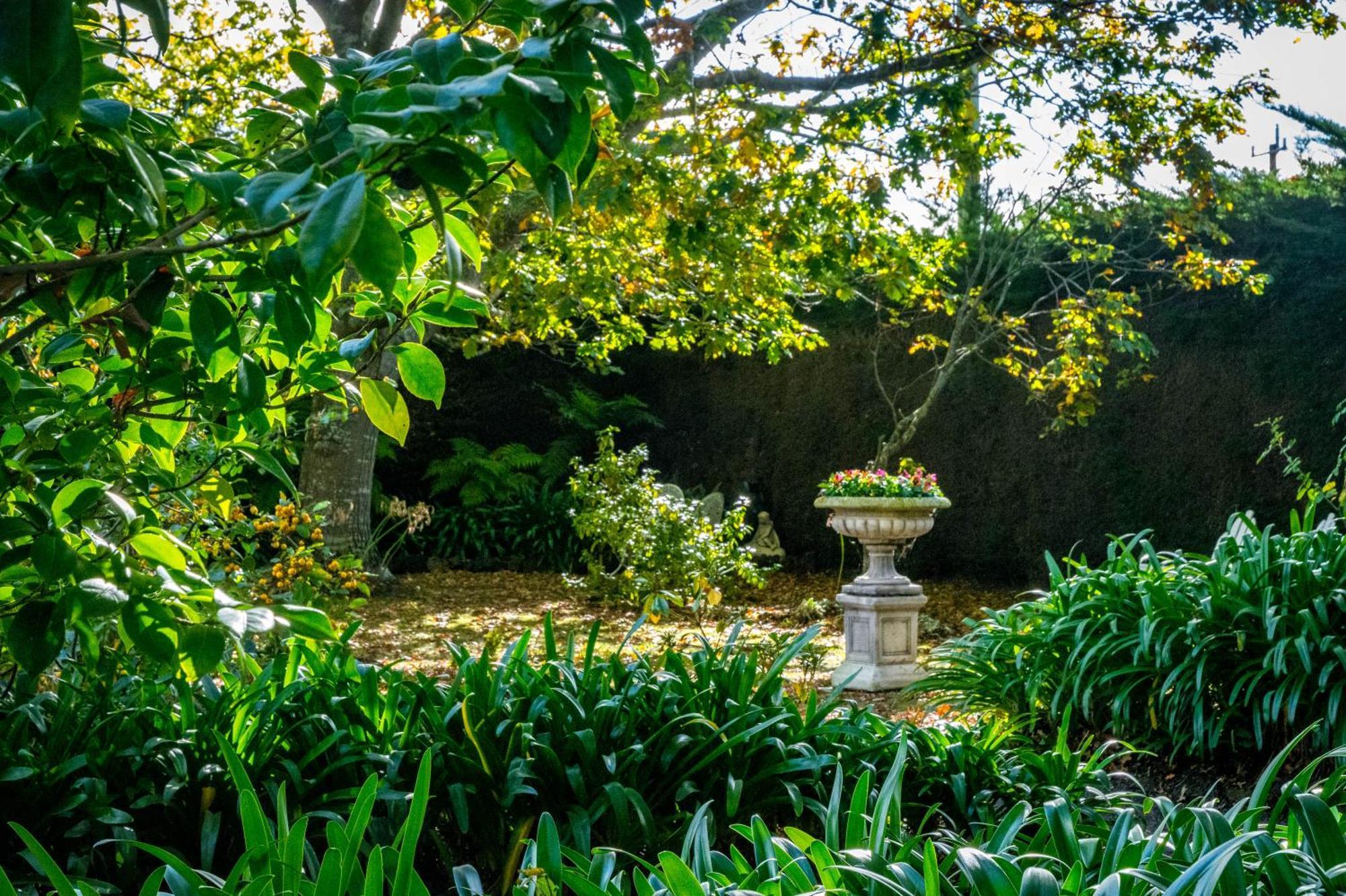 Cobden Heytesbury House Bed & Breakfast エクステリア 写真